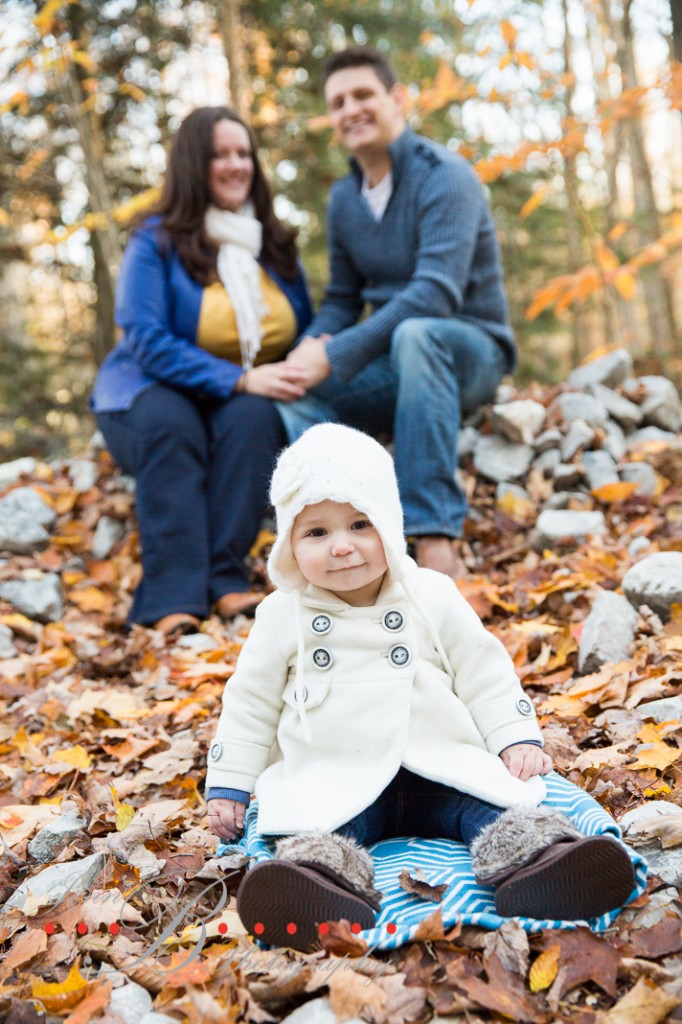 barriefamilyphotographer-1